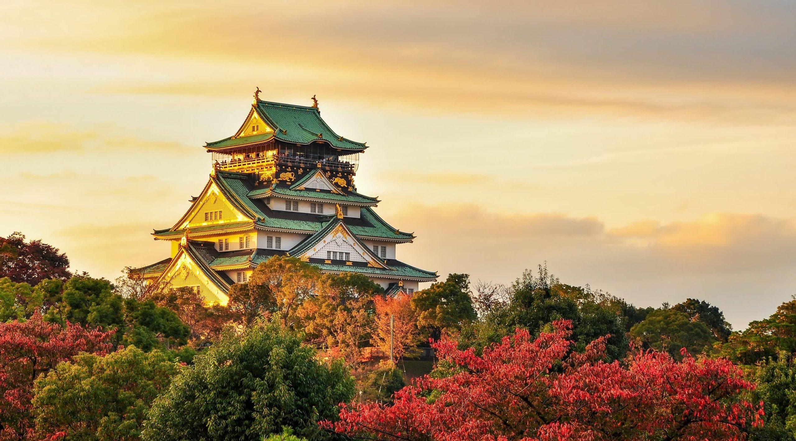 Osaka – 12 Aout 2026